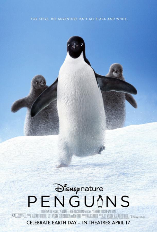 Пингвины фильм (2019)