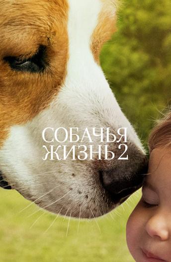 Собачья жизнь 2 фильм (2019)