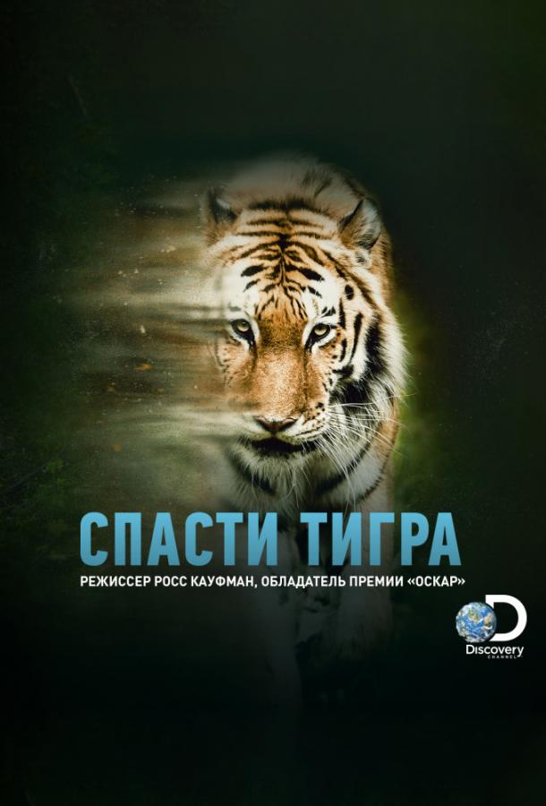 Animal Planet: Спасти тигра фильм (2019)
