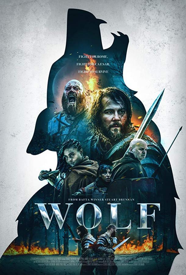 Волк фильм (2019)