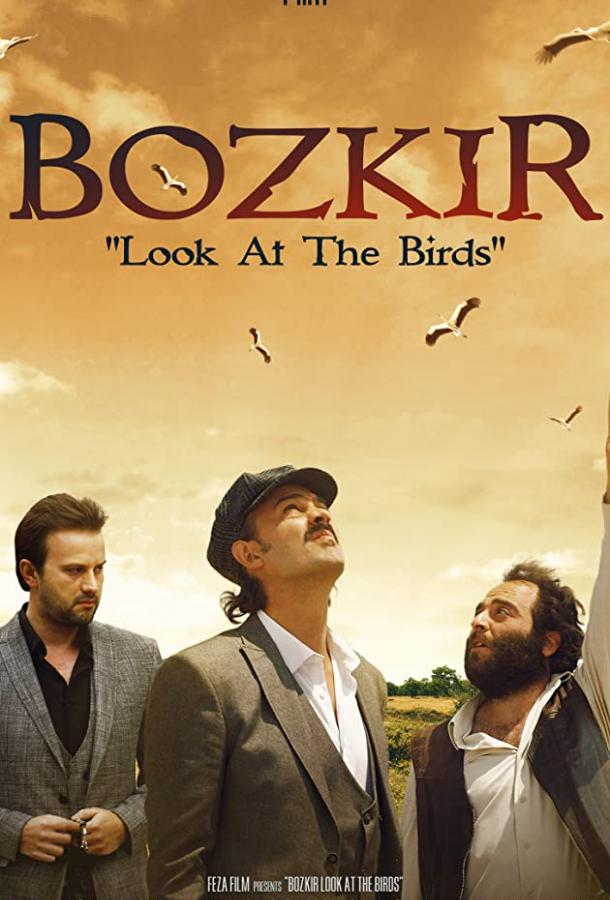 Посмотри на птиц фильм (2019)