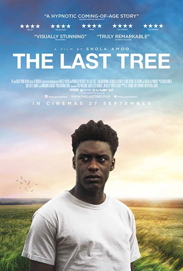 Последнее дерево фильм (2019)
