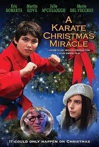 Рождественское чудо в стиле карате фильм (2019)