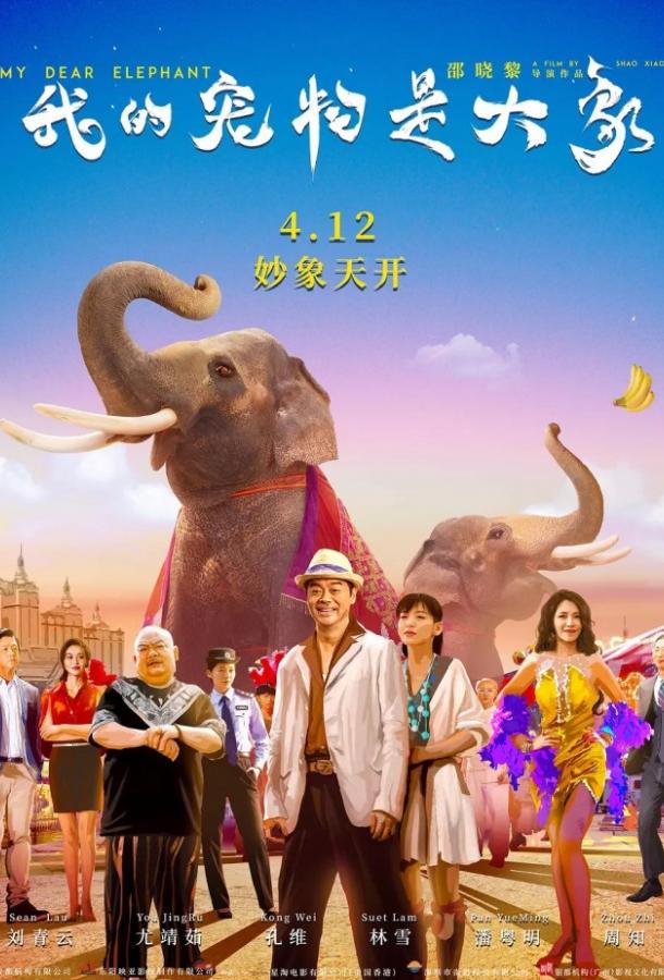 Дорогие мои слоны фильм (2019)