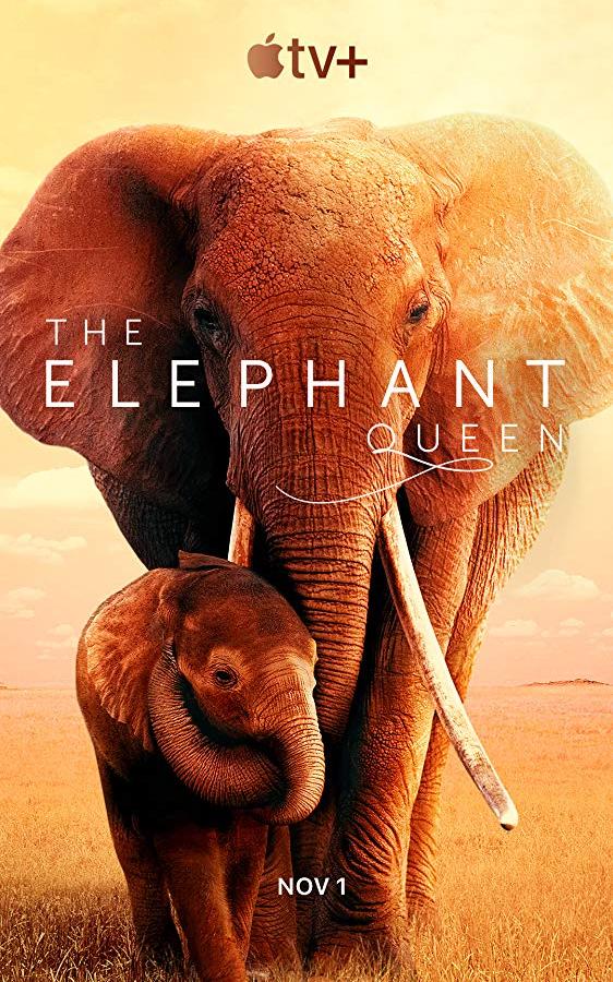 Королева слонов фильм (2019)
