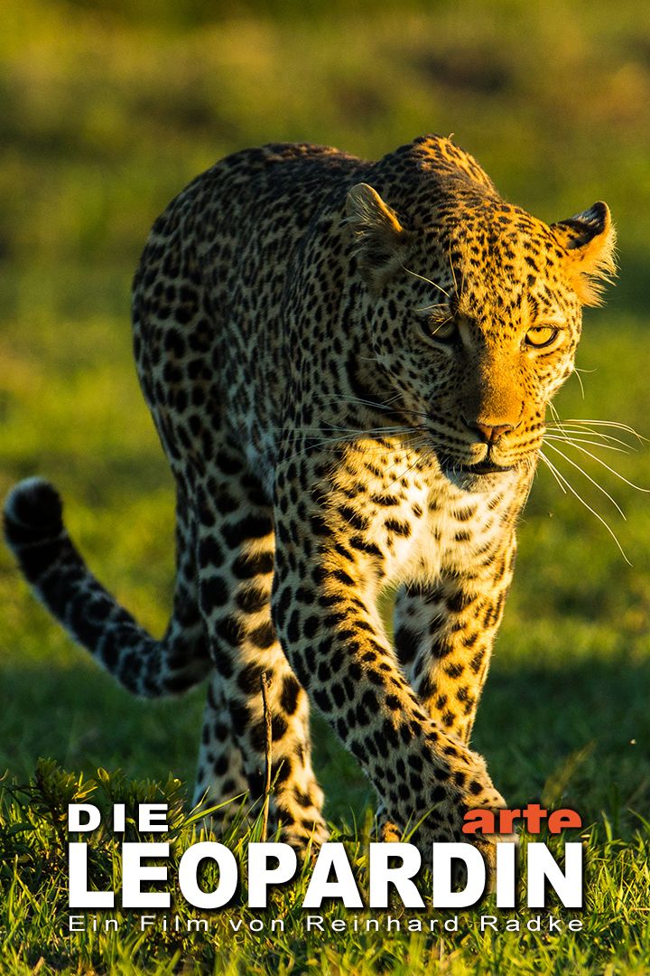 Королева леопардов / Die Leopardin / 2020