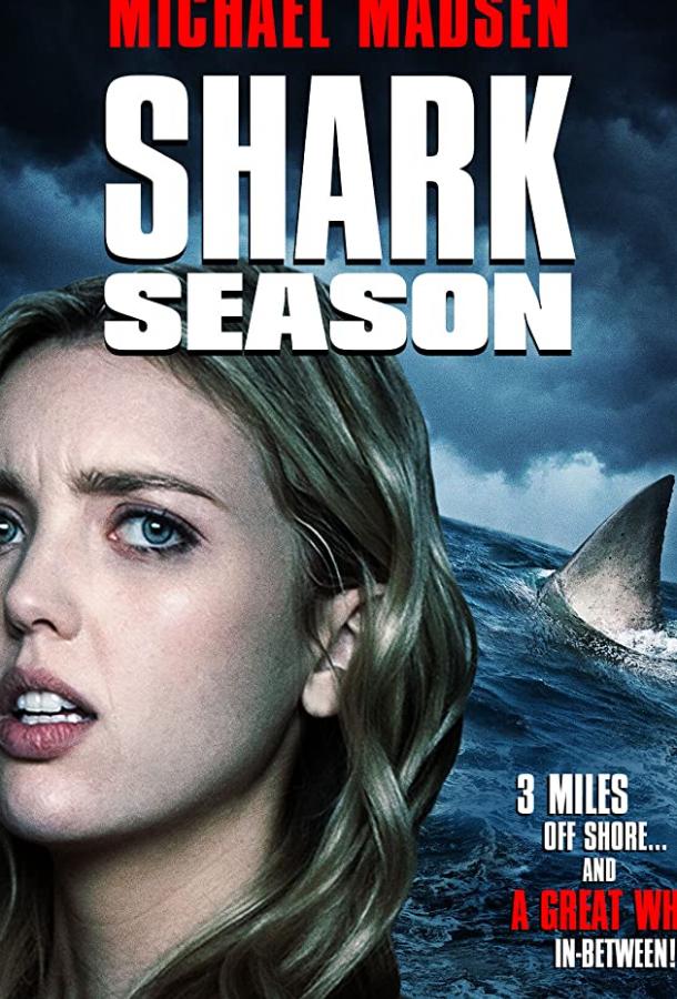 Сезон акул фильм (2020)