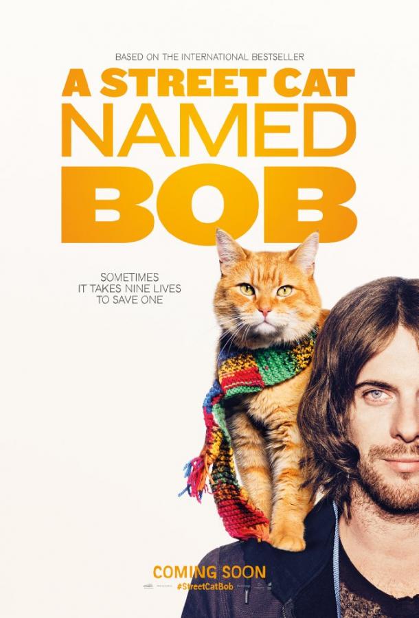 Уличный кот по кличке Боб фильм (2016)
