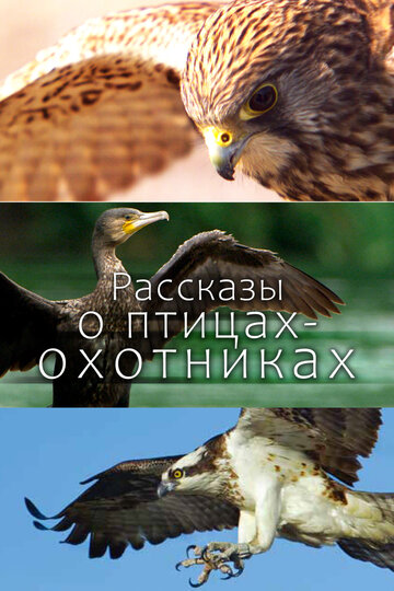 Рассказы о птицах-охотниках / Tales of the Avian Hunters / 2011
