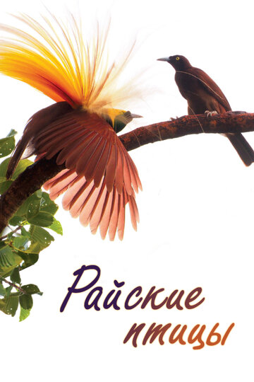 Райские птицы / Birds of Paradise / 2014