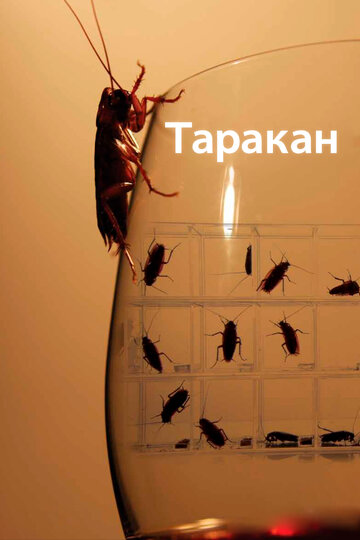 Таракан / Cockroach / 2010
