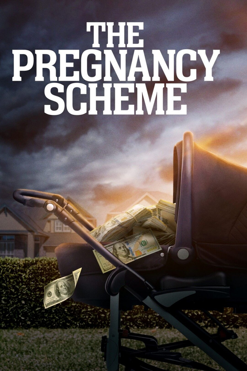 Фальшивая беременность / The Pregnancy Scheme / 2023