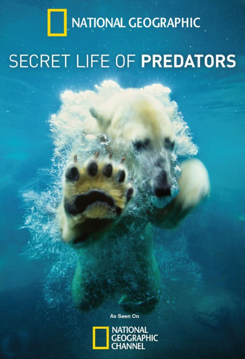 Тайная жизнь хищников / Secret Life of Predators / 2013