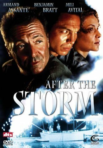 После шторма / After the Storm / 2001