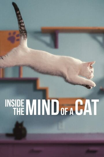 Внутри разума кошки / Inside the Mind of a Cat / 2022