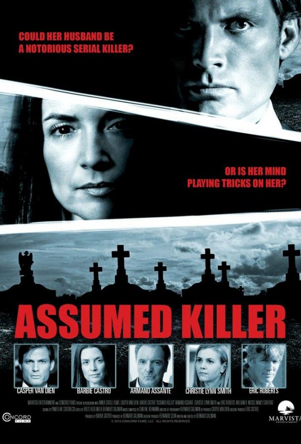 Предполагаемый убийца фильм (2013)